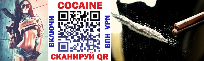 Cocaine FishScale  Купить закладки  Каменногорск 