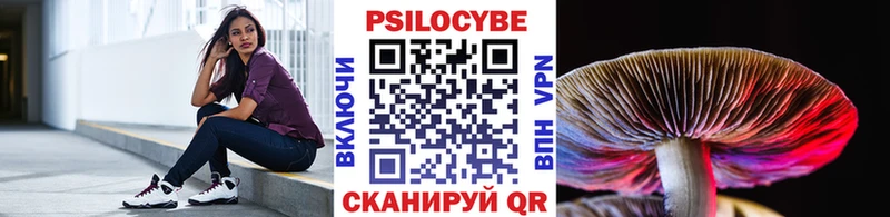 Псилоцибиновые грибы Magic Shrooms  Купить где  Каменногорск 